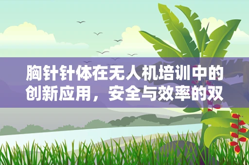 胸针针体在无人机培训中的创新应用，安全与效率的双重提升