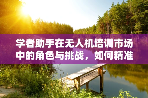 学者助手在无人机培训市场中的角色与挑战，如何精准匹配学习路径？
