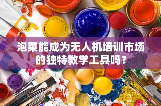 泡菜能成为无人机培训市场的独特教学工具吗？