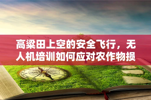 高粱田上空的安全飞行，无人机培训如何应对农作物损害风险？