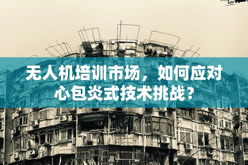 无人机培训市场，如何应对心包炎式技术挑战？