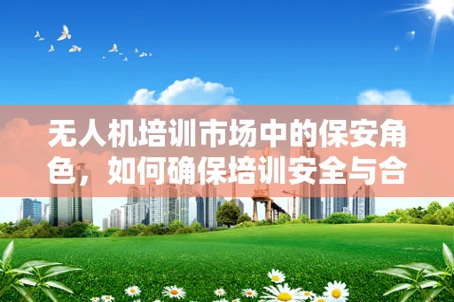 无人机培训市场中的保安角色，如何确保培训安全与合规？