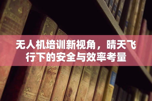 无人机培训新视角，晴天飞行下的安全与效率考量