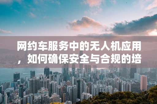 网约车服务中的无人机应用，如何确保安全与合规的培训体系？