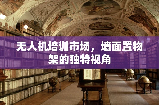 无人机培训市场，墙面置物架的独特视角