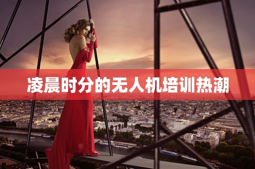凌晨时分的无人机培训热潮