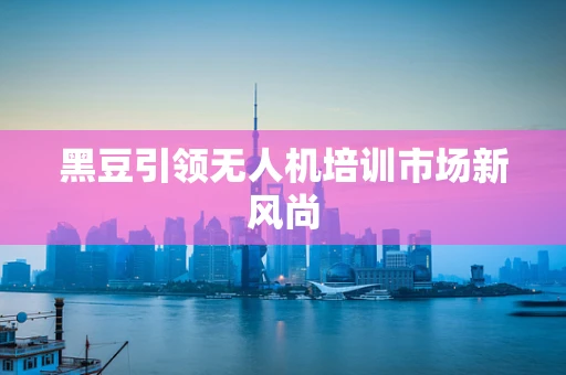 黑豆引领无人机培训市场新风尚