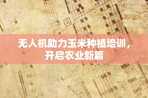 无人机助力玉米种植培训，开启农业新篇