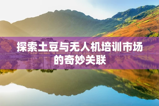 探索土豆与无人机培训市场的奇妙关联