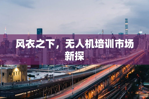 风衣之下，无人机培训市场新探