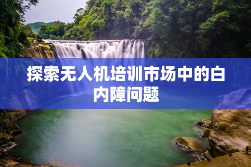 探索无人机培训市场中的白内障问题