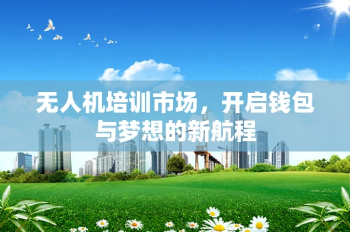 无人机培训市场，开启钱包与梦想的新航程