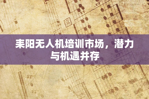 耒阳无人机培训市场，潜力与机遇并存