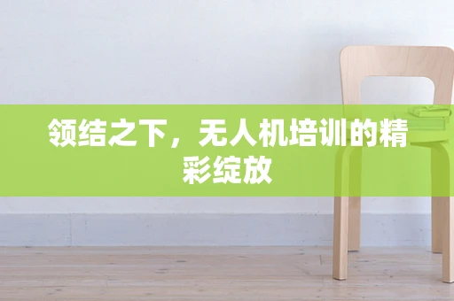 领结之下，无人机培训的精彩绽放