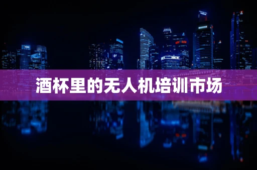 酒杯里的无人机培训市场