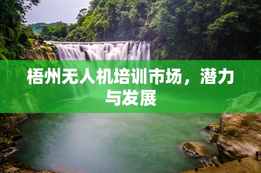 梧州无人机培训市场，潜力与发展