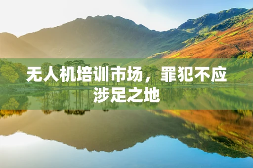 无人机培训市场，罪犯不应涉足之地