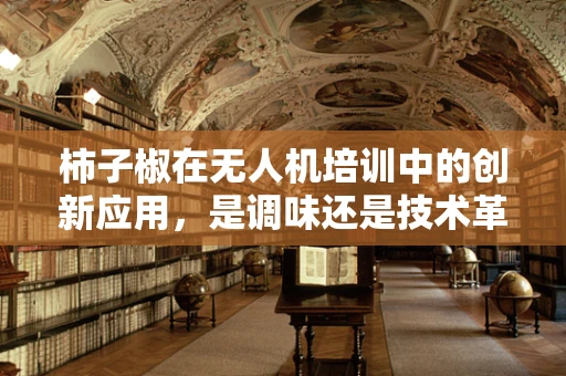 柿子椒在无人机培训中的创新应用，是调味还是技术革新？
