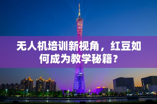 无人机培训新视角，红豆如何成为教学秘籍？