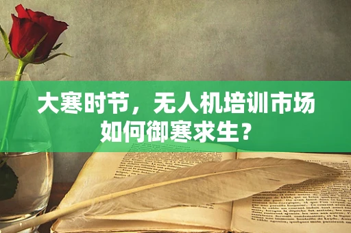 大寒时节，无人机培训市场如何御寒求生？