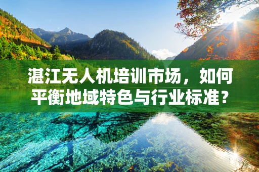 湛江无人机培训市场，如何平衡地域特色与行业标准？