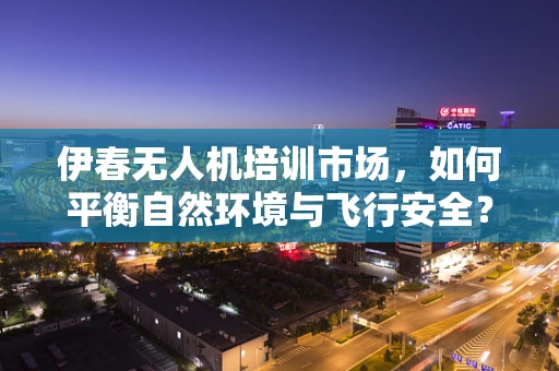 伊春无人机培训市场，如何平衡自然环境与飞行安全？