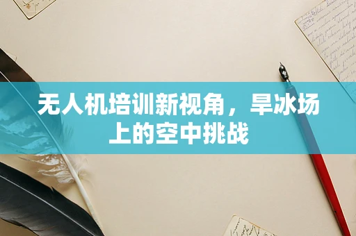 无人机培训新视角，旱冰场上的空中挑战