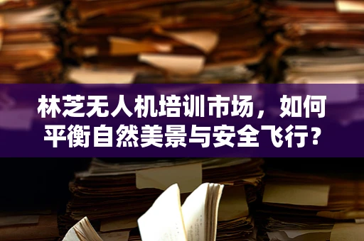 林芝无人机培训市场，如何平衡自然美景与安全飞行？
