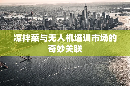 凉拌菜与无人机培训市场的奇妙关联