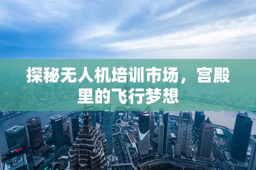 探秘无人机培训市场，宫殿里的飞行梦想