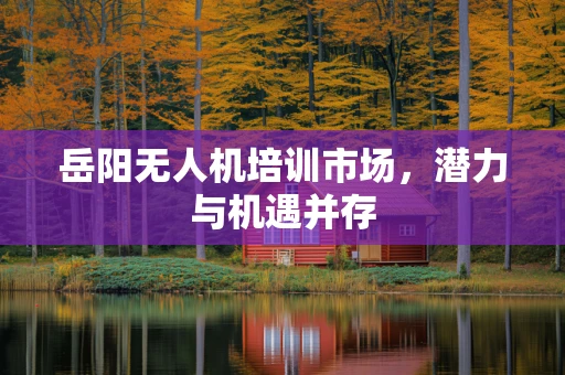 岳阳无人机培训市场，潜力与机遇并存