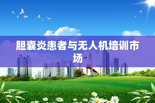 胆囊炎患者与无人机培训市场