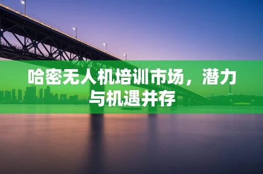 哈密无人机培训市场，潜力与机遇并存