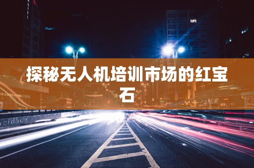探秘无人机培训市场的红宝石