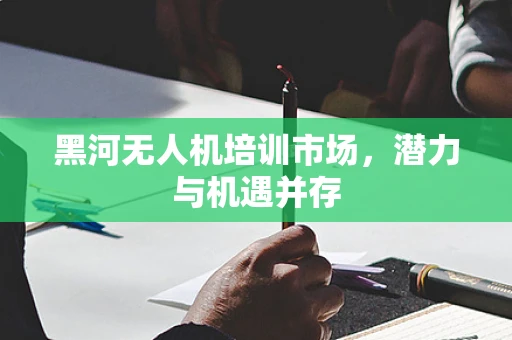 黑河无人机培训市场，潜力与机遇并存