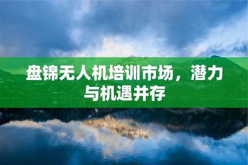 盘锦无人机培训市场，潜力与机遇并存