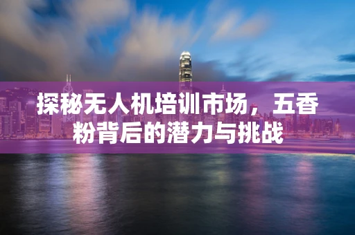 探秘无人机培训市场，五香粉背后的潜力与挑战