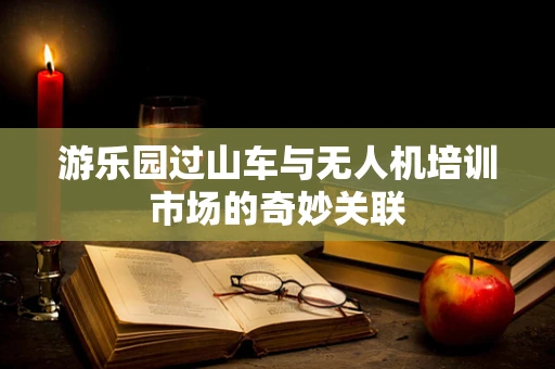 游乐园过山车与无人机培训市场的奇妙关联