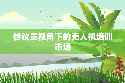参议员视角下的无人机培训市场