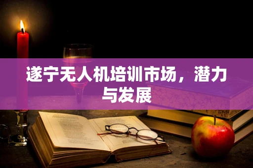 遂宁无人机培训市场，潜力与发展