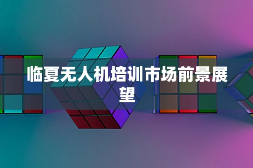 临夏无人机培训市场前景展望