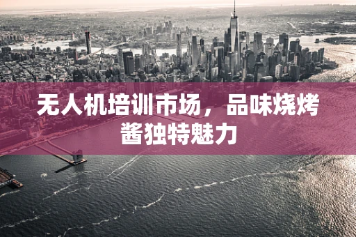 无人机培训市场，品味烧烤酱独特魅力