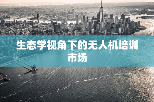 生态学视角下的无人机培训市场