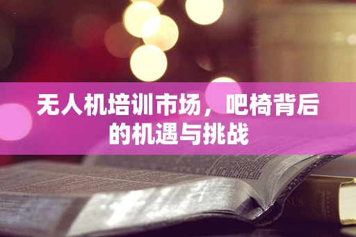 无人机培训市场，吧椅背后的机遇与挑战
