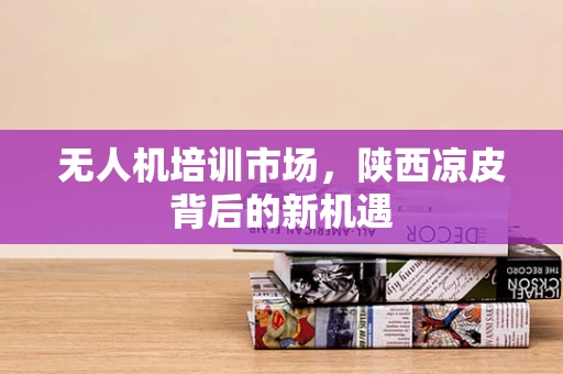 无人机培训市场，陕西凉皮背后的新机遇