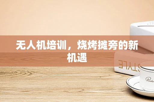 无人机培训，烧烤摊旁的新机遇