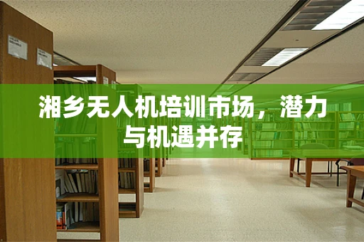 湘乡无人机培训市场，潜力与机遇并存