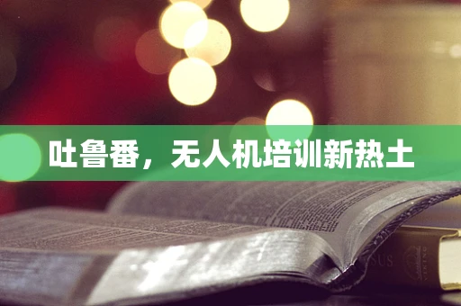 吐鲁番，无人机培训新热土