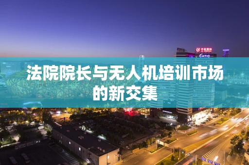 法院院长与无人机培训市场的新交集