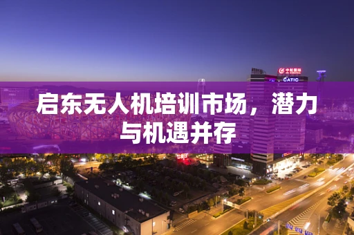 启东无人机培训市场，潜力与机遇并存